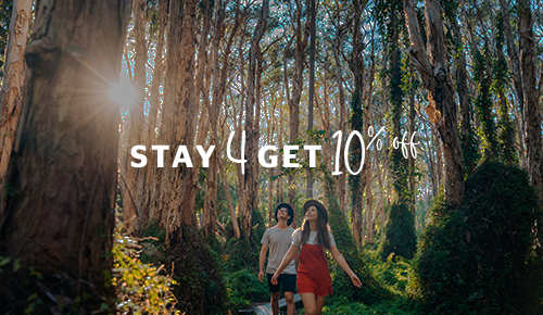 Stay 4 get 10% Off