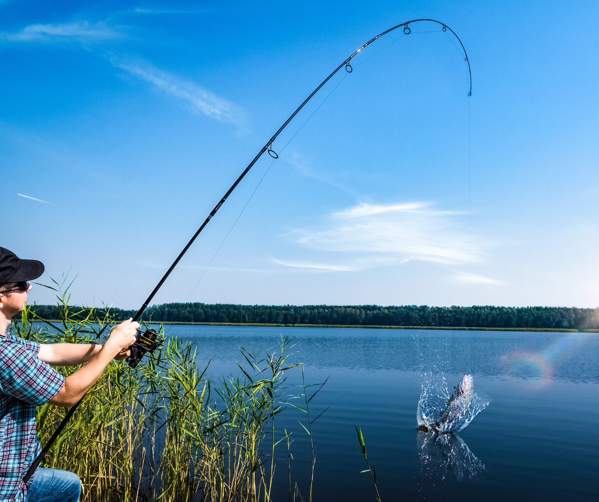 Reef fishing charter boat