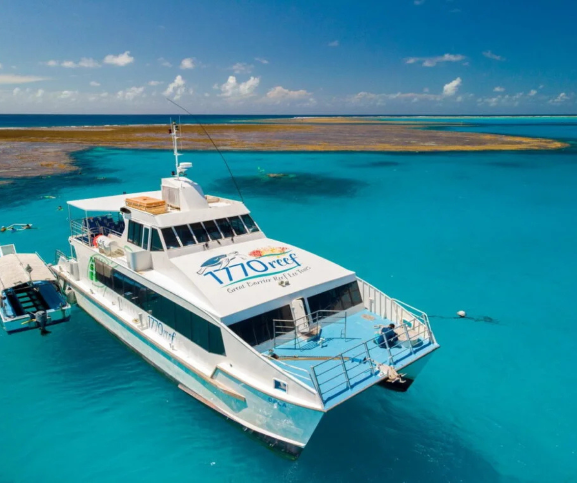 Local wildlife and national park