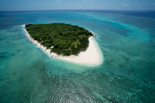 Lady Musgrave Island